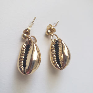 Gold Coated Cowrie Shell Stud