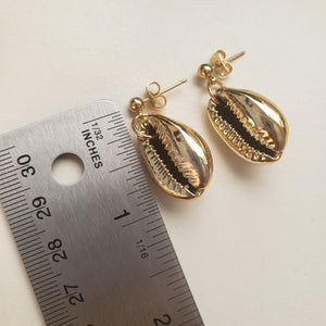 Gold Coated Cowrie Shell Stud